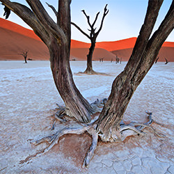 The V in the Vlei-Trevor Cole-bronze-landscape-2171
