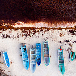 Sargassum-Florent Serfati-finalist-landscape-2362