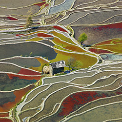 Red Terraces-Thierry Bornier-bronze-landscape-2112