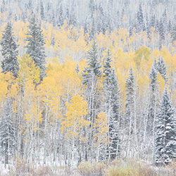 Autumn Snow-Stephen King-silver-landscape-2434