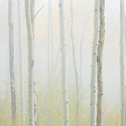 Autumn Mist-Stephen King-bronze-landscape-2146