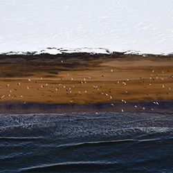 Snow, land and sea-Ricardo Cisneros-finalist-landscape-2324