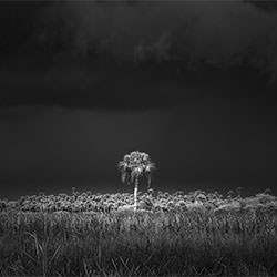 Perseverance-Jack Curran-bronze-landscape-2140