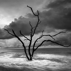 The Boneyard-Jack Curran-finalist-landscape-2265