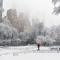 New Snow York-Oscar Bjarnason-Silberlandschaft-2417