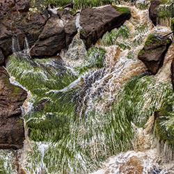 River Grass 1-Ricardo Cisneros-finalist-landscape-2326