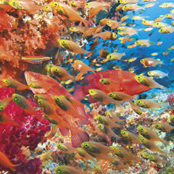 Colors of the sea-Ricardo Cisneros-finalist-landscape-2333