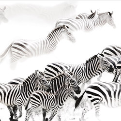 smoke and stripes-Ricardo Cisneros-finalist-landscape-2341