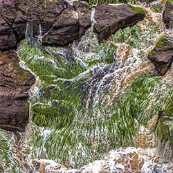 River Grass 2-Ricardo Cisneros-finalist-landscape-2351