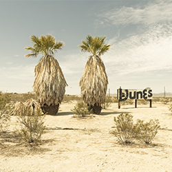 dunes twin palms-Carl Lyttle-bronze-landscape-2105