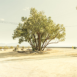 milton crossing-Carl Lyttle-finalist-landscape-2208