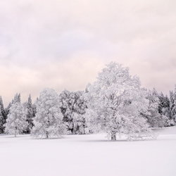 Winter fairy tale-Dominique Dubied-finalist-landscape-3602