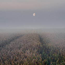 To the moon-Kent Olsson-silver-landscape-3693