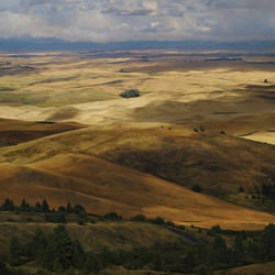 Landscape of Amber-Greg Stroube-finalist-landscape-3476