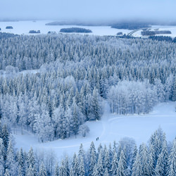 Winter Skiing-Teemu Kalliolahti-finalist-landscape-3444