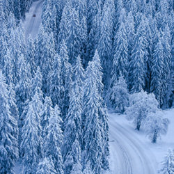 Winter Journey-Teemu Kalliolahti-finalist-landscape-3446