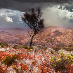 The storm-Julie Fletcher-bronze-landscape-3390