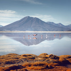 Atacama-Robert Westrich-bronze-landscape-3349