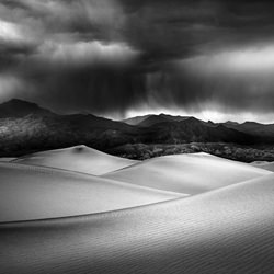 Tension over there Dunes-Jack Curran-bronze-landscape-3372