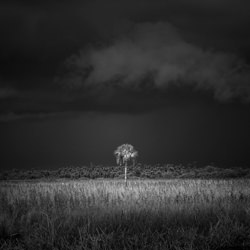 Weathering the Storm-Jack Curran-finalist-landscape-3499