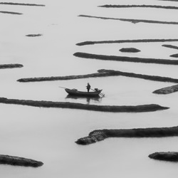Fishing-Shirley Wung-finalist-landscape-3560