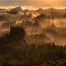 First light-Cp Lau-finalist-landscape-3512