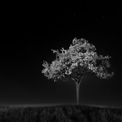 Moonlight-Harald Weimann-finalist-landscape-3603