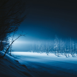 THE SILENT FROZEN WORLD-Draco Wong-bronze-landscape-5083