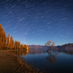 Falling stars on Wanaka Tree-Maximus Yeung-finalist-landscape-5249