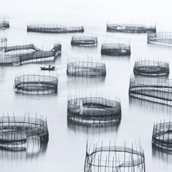 Fishing style-Shirley Wung-finalist-landscape-5191