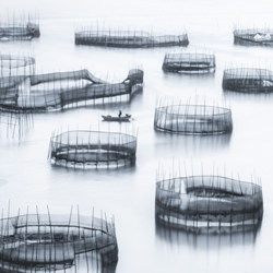 fishing in the ocean-Shirley Wung-finalist-landscape-5197
