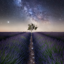 Chemin vers les étoiles-Daniel Trippolt-bronze-paysage-5141
