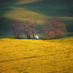 Sunrise Moravia-Oleg Rest-finalist-landscape-7269