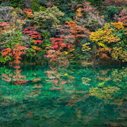 Colorful autumn-Masahiro Hiroike-finalist-landscape-7307