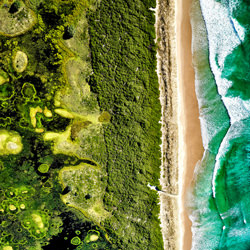 Mosaico costero-Stuart Chape-plata-paisaje-7339