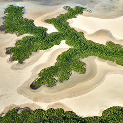 Planicies, arroyos y manglares 2-Stuart Chape-bronce-paisaje-6982