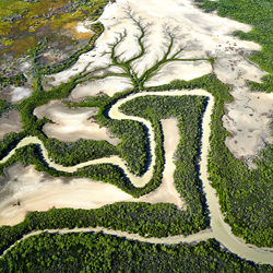 Planicies, arroyos y manglares 3-Stuart Chape-finalista-paisaje-7129