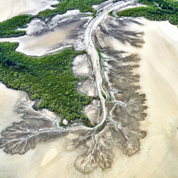 Planicies, arroyos y manglares 4-Stuart Chape-finalista-paisaje-7130