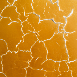 Salt Trails-Chris Dirker-bronze-landscape-10189