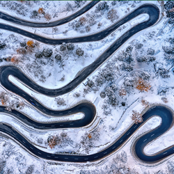 tape worm-Judith Kuhn-bronze-landscape-10101