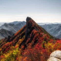 Autumn Colors-Hiromasa Morioka-finalist-landscape-10435
