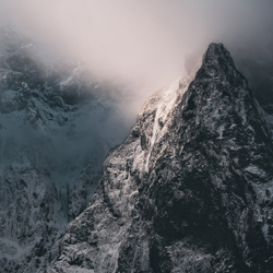 Needle-Gen Kiryu-finalist-landscape-10464