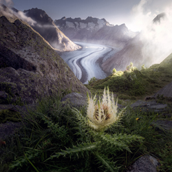 Aletsch 1-Léonard Monney-finalist-landscape-10469
