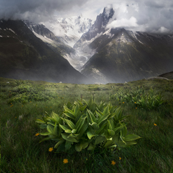 Chamonix 1-Léonard Monney-finalist-landscape-10470