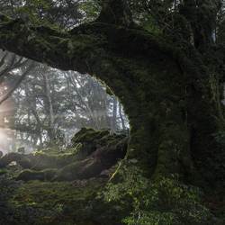 Gateway to Heaven-Sho Hoshino-bronze-landscape-10240