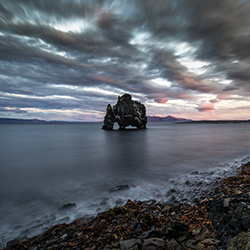 Sea elephant-Petr Zbranek-finalist-landscape-13444