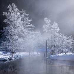 Glisten In White-Ryohei Irie-finalist-landscape-13445