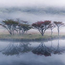 Into Fall-Ryohei Irie-bronze-landscape-13223
