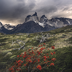 Cuernos en sangre-Daniela Droguett-bronze-landscape-13252