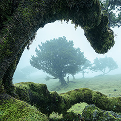 Framed-Stefan Schaefer-finalist-landscape-13464